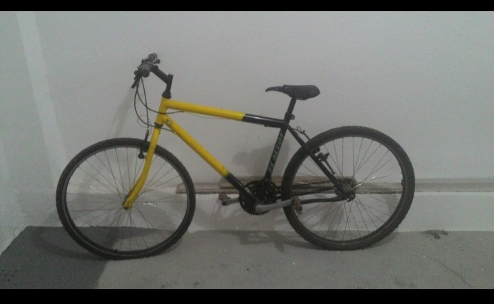 /19883WhatsApp Image 2020-10-20 at 12.51.25.jpeg